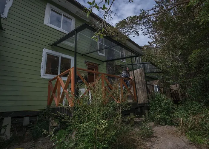 Cabanas Ensenada Bosque Nativo