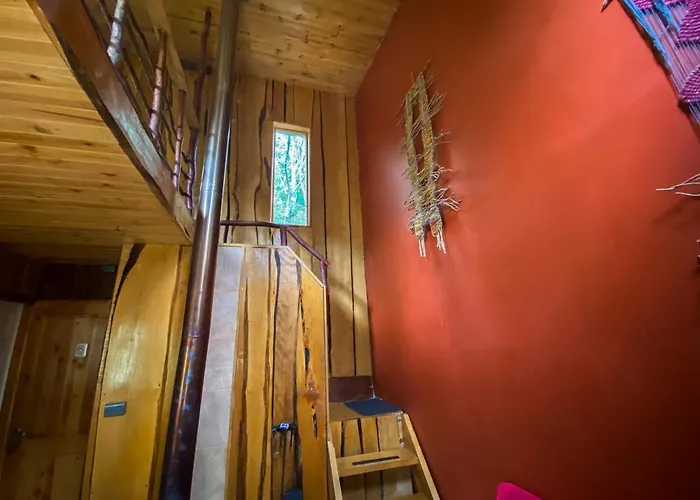 Cabanas Ensenada Bosque Nativo